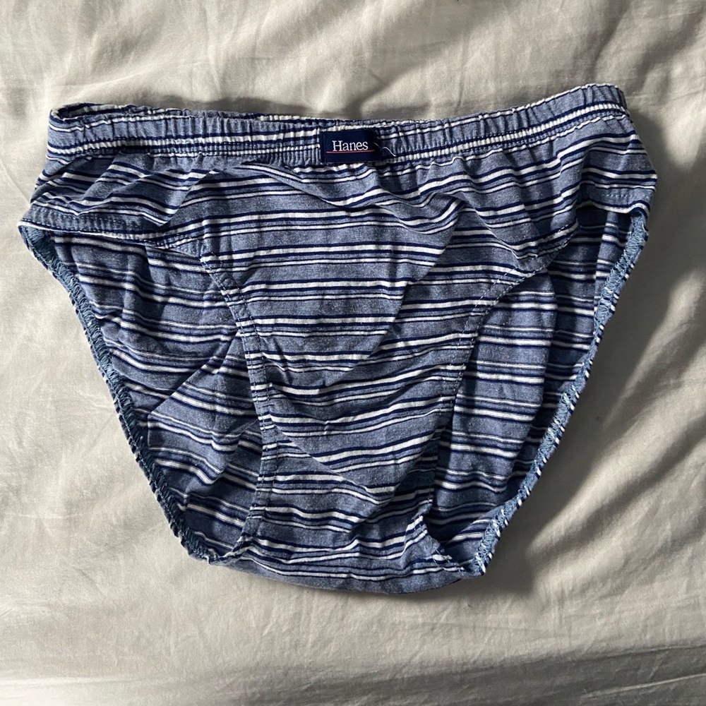 Hanes Briefs